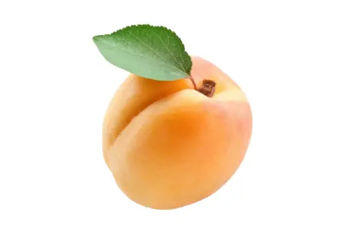 Pakistani Mango